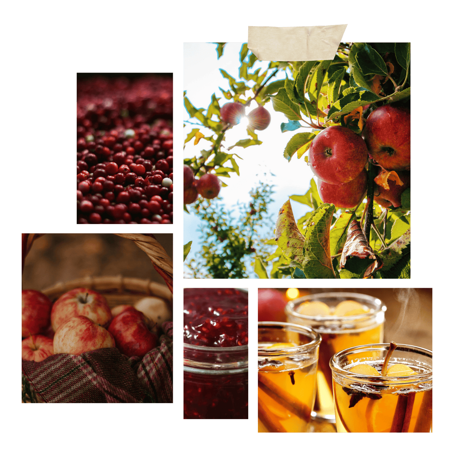 Apple Candle Inspiration Image