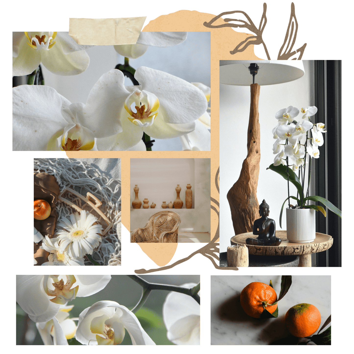 Bohemian Orchid Candle for Luxurious Home
