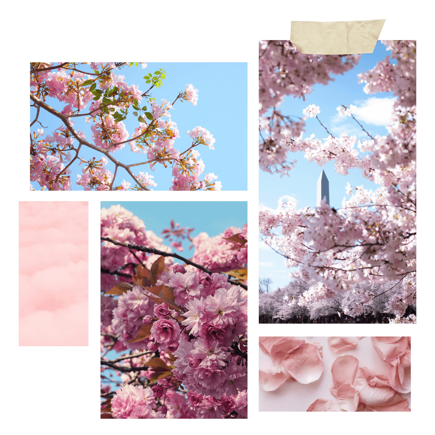 Cherry Blossom Candle Inspiration