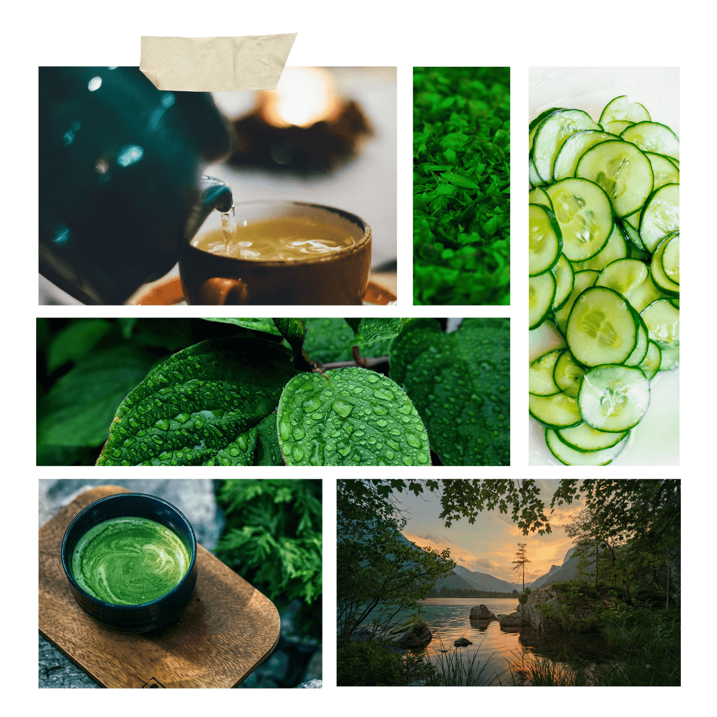 Green Tea Candle Inspiration