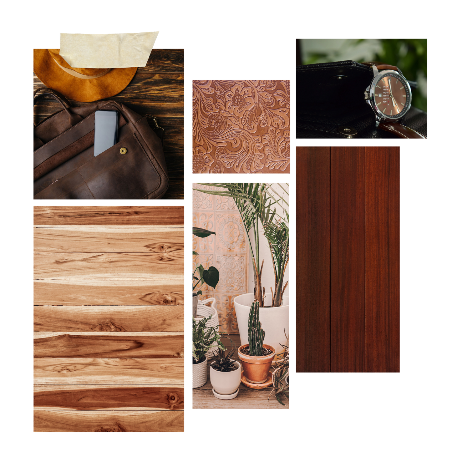 Teakwood and Oak Cologne