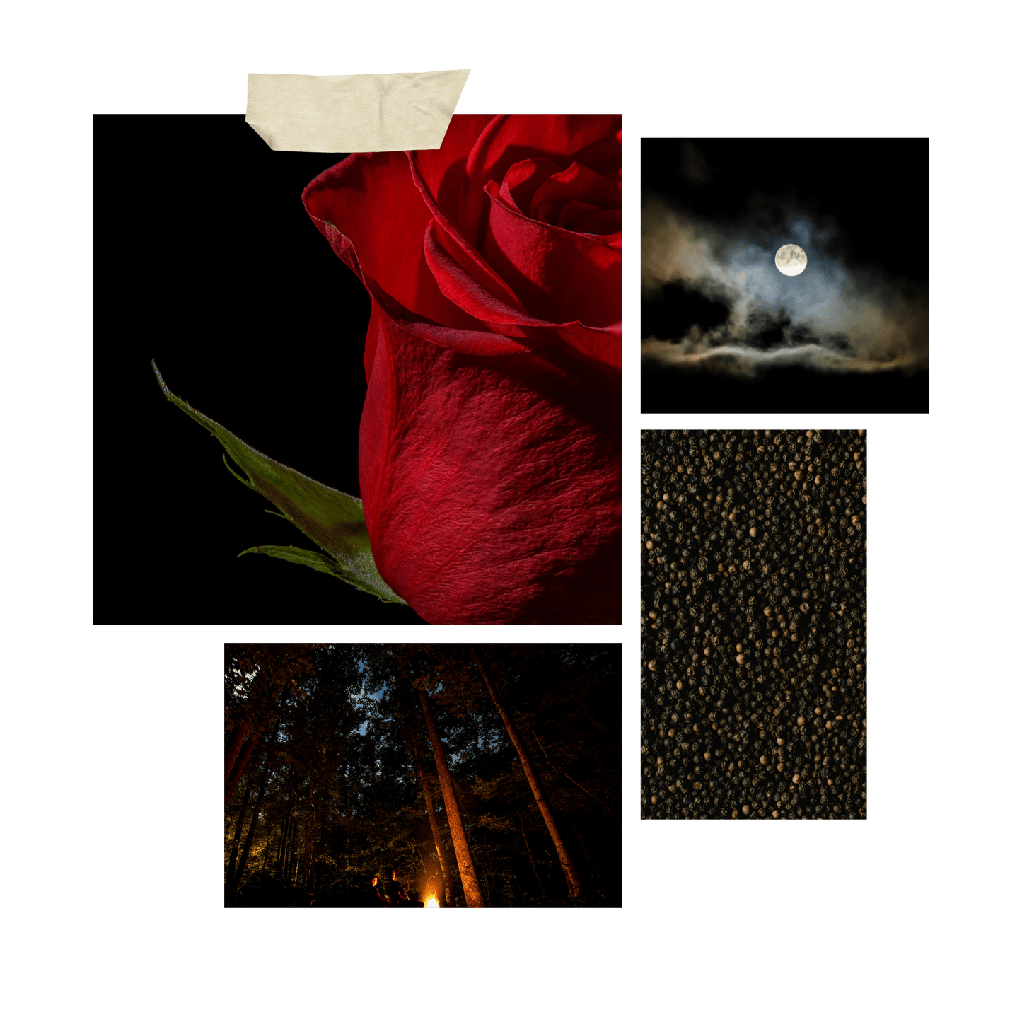 Deep Spicy Halloween Scented Candle Luxury Belladonna Black Pepper & Rose