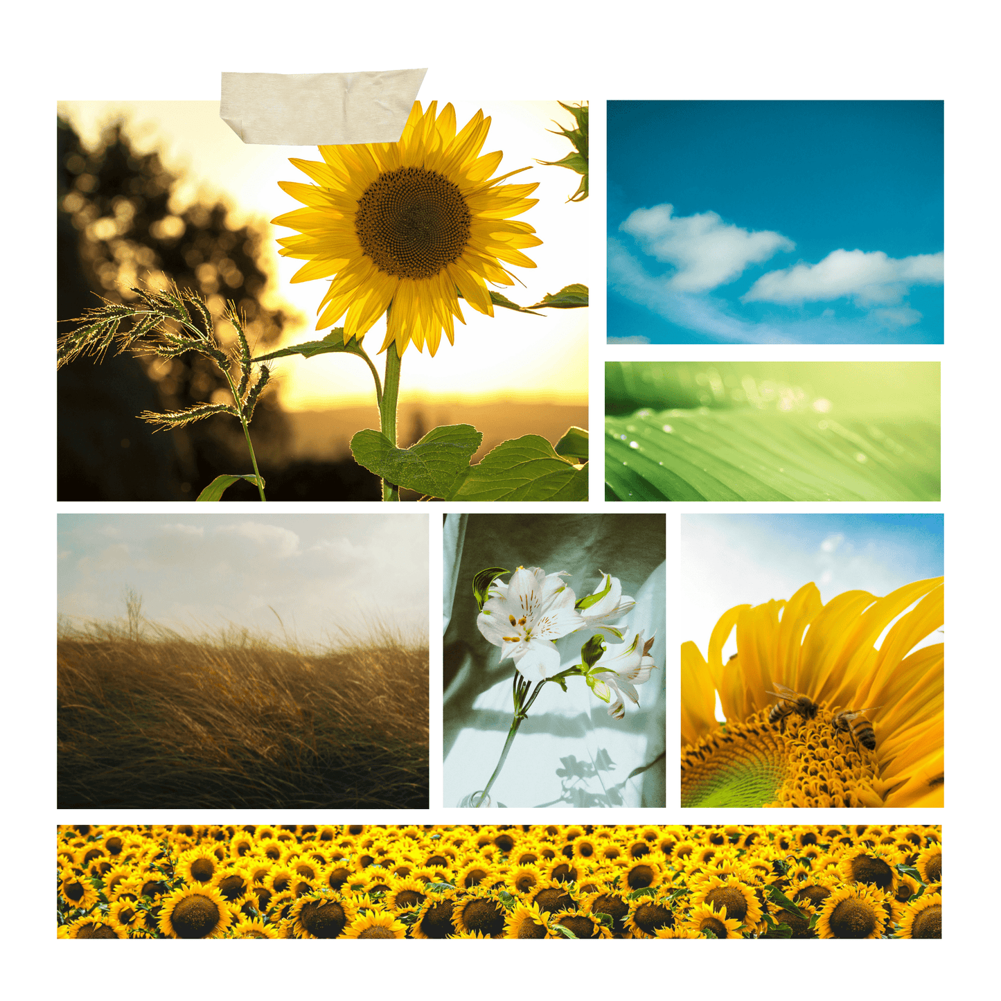 Sunflower Candle