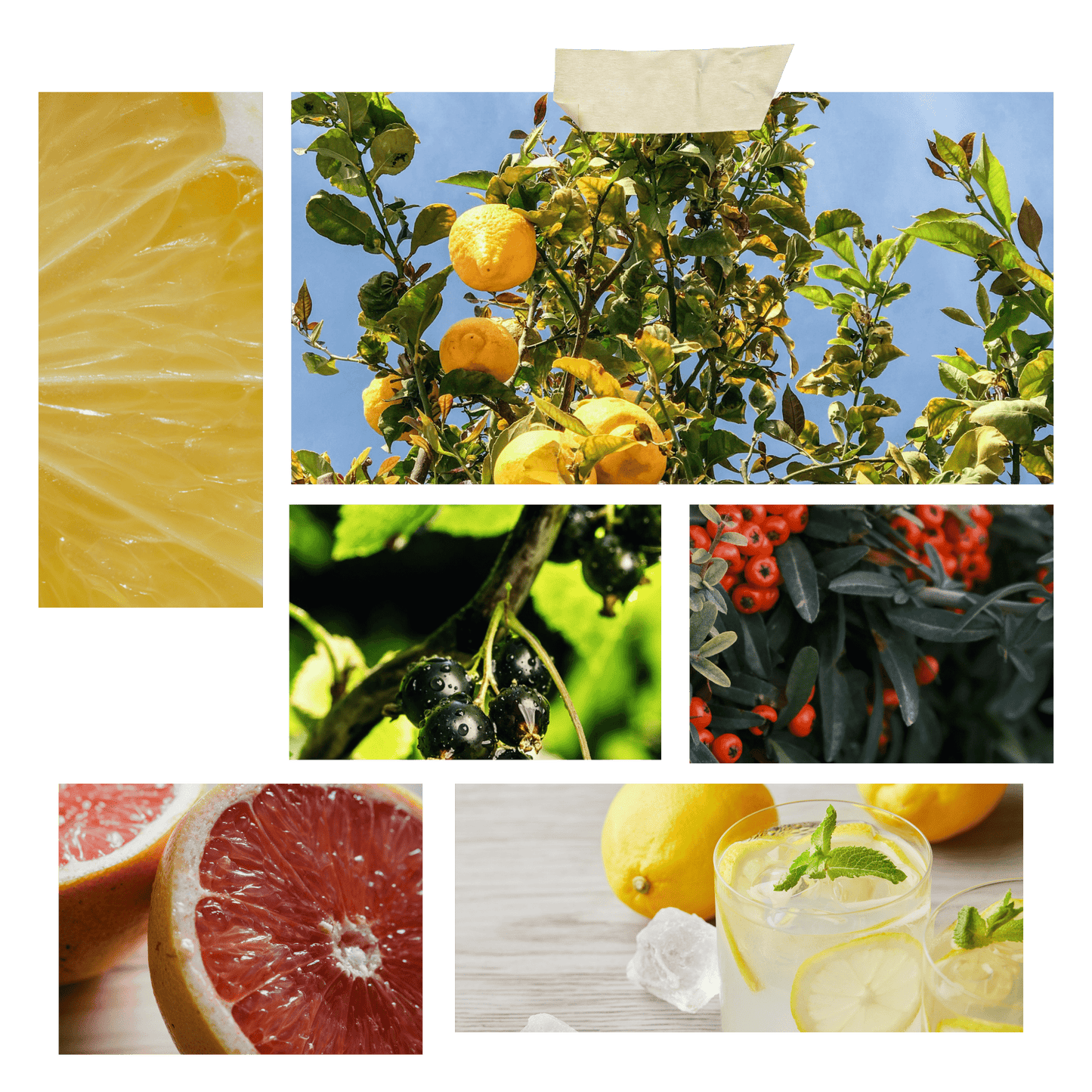 Lemon Candle