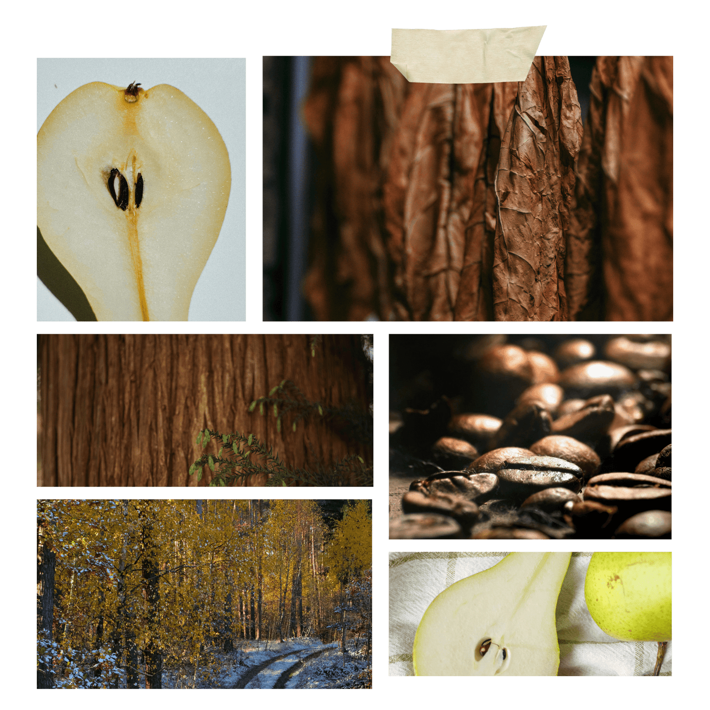 Sophisticated Luxury Candle Scent Tobacco Leaf & Pear