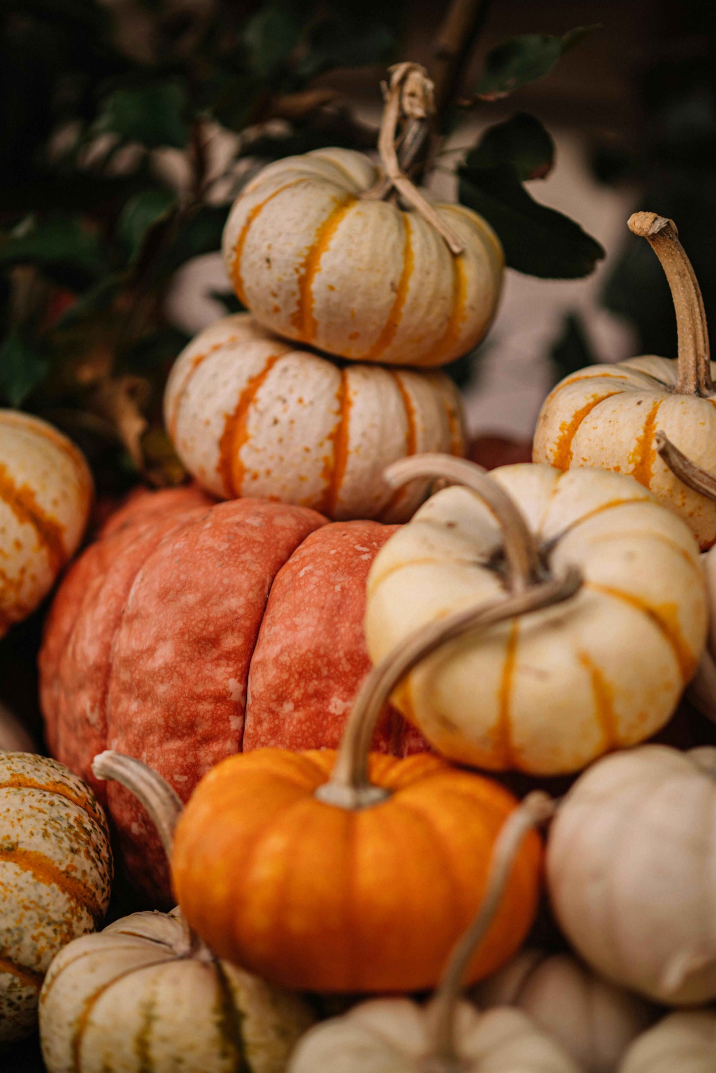 Luxury Autumn Room Spray