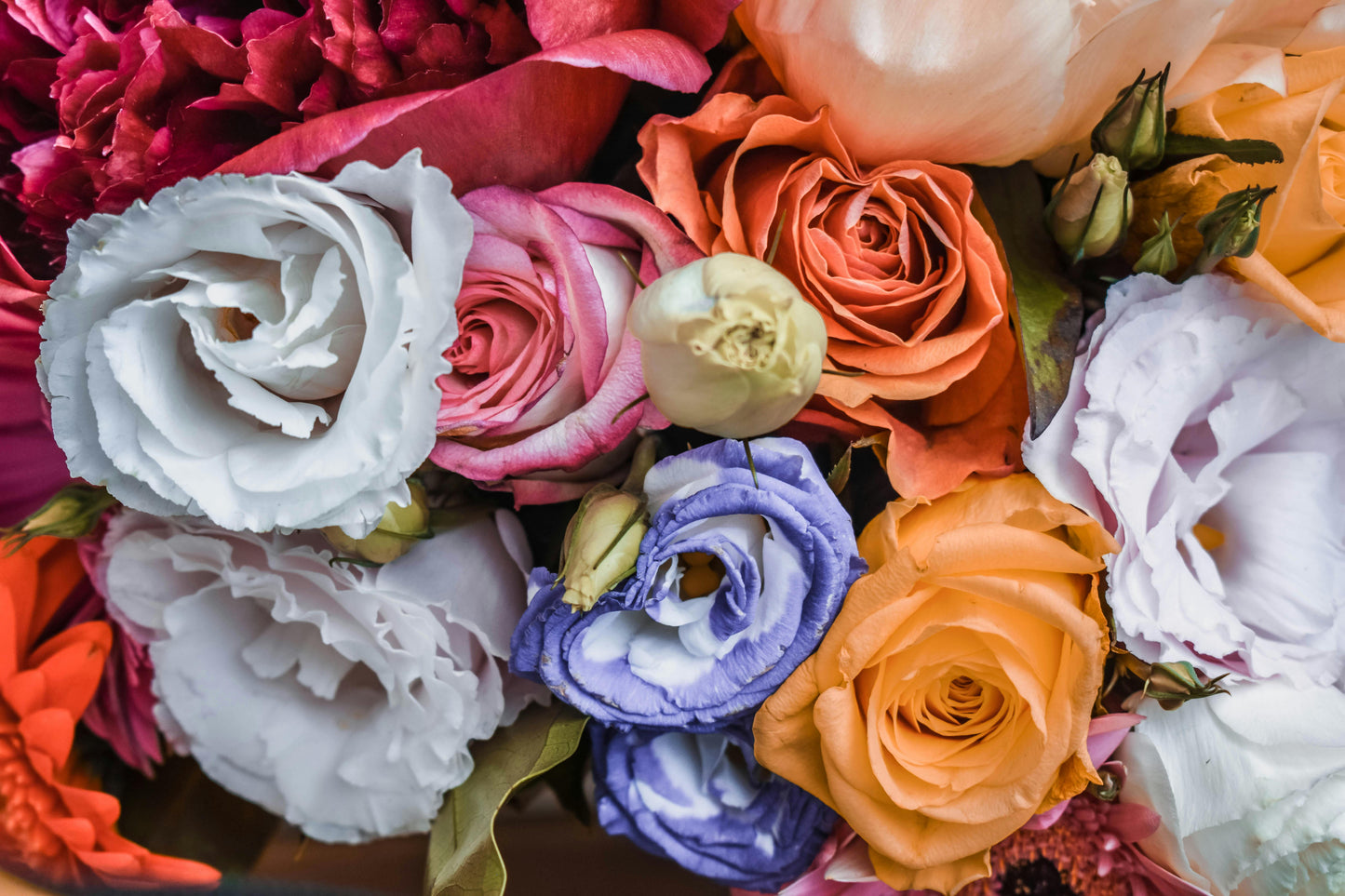floral scented candles & fragrance sprays for your home