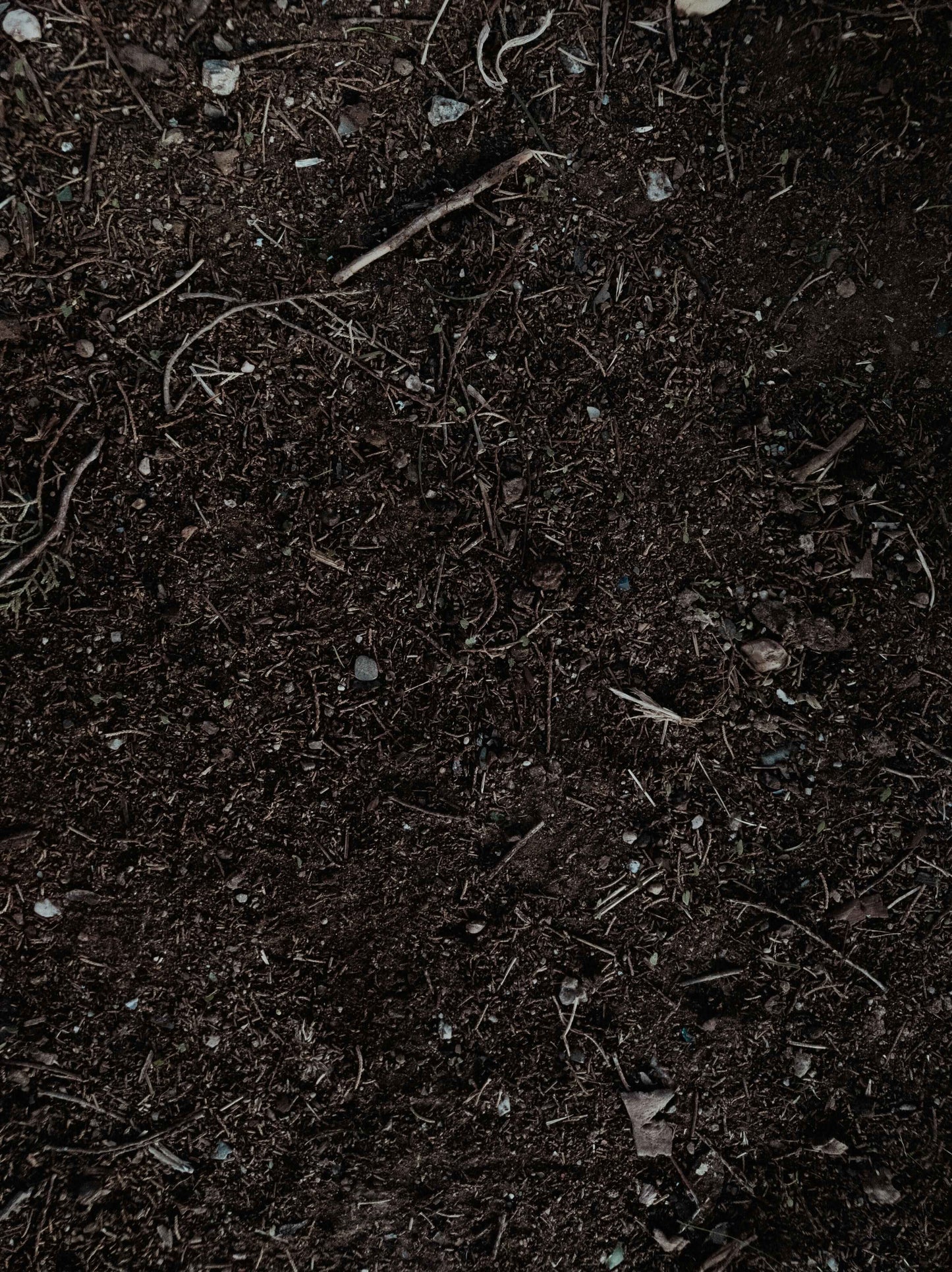 Fresh Dirt & Lavender Candle Fragrance