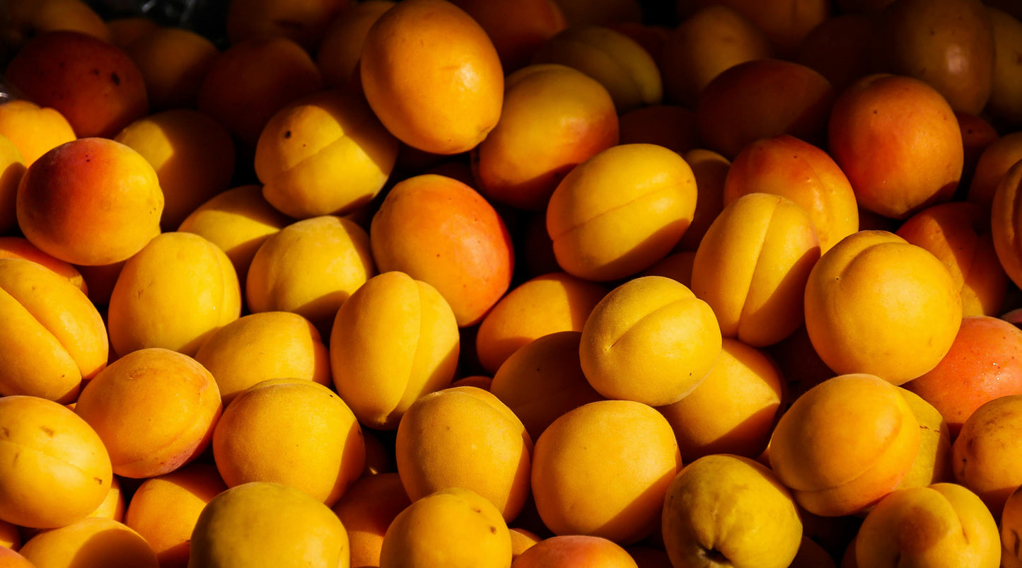 Georgia Peach Candle Smells like Juicy Peaches from Georgia