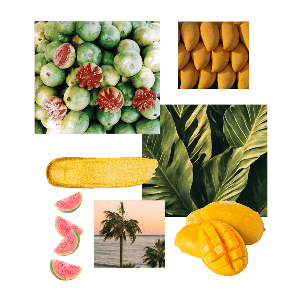 tropical summer candle scent Guava Mango Scented Candle