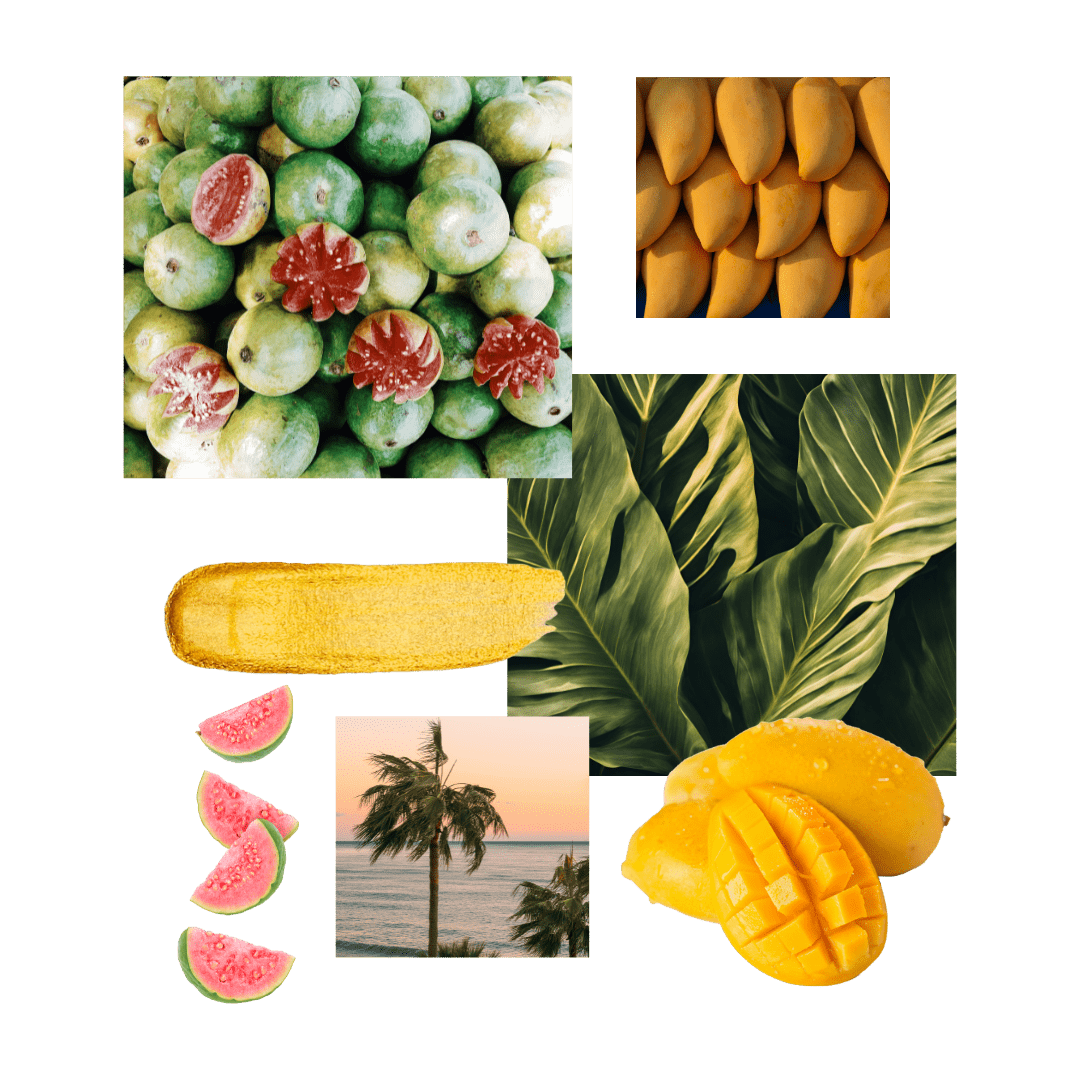 tropical summer candle scent Guava Mango Scented Candle
