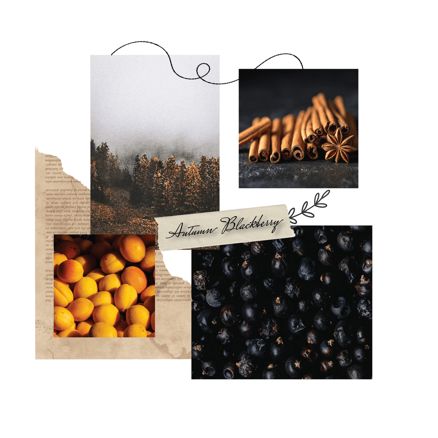 Inspiration for Amber and Gold glass bottle Autumn Blackberry Room Spray from Rayven & Co. Candles featuring Blackberries, Cinnamon and Anise, Peaches, and a wintery forest.