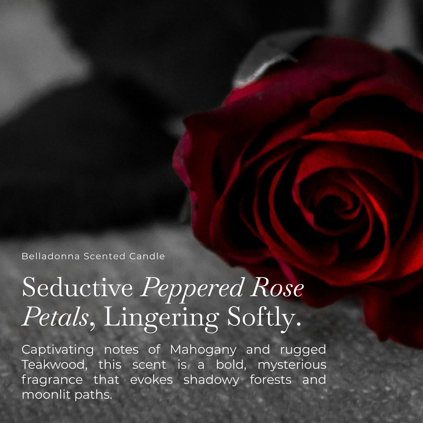 Belladonna Peppered Rose Scented Candle for Halloween