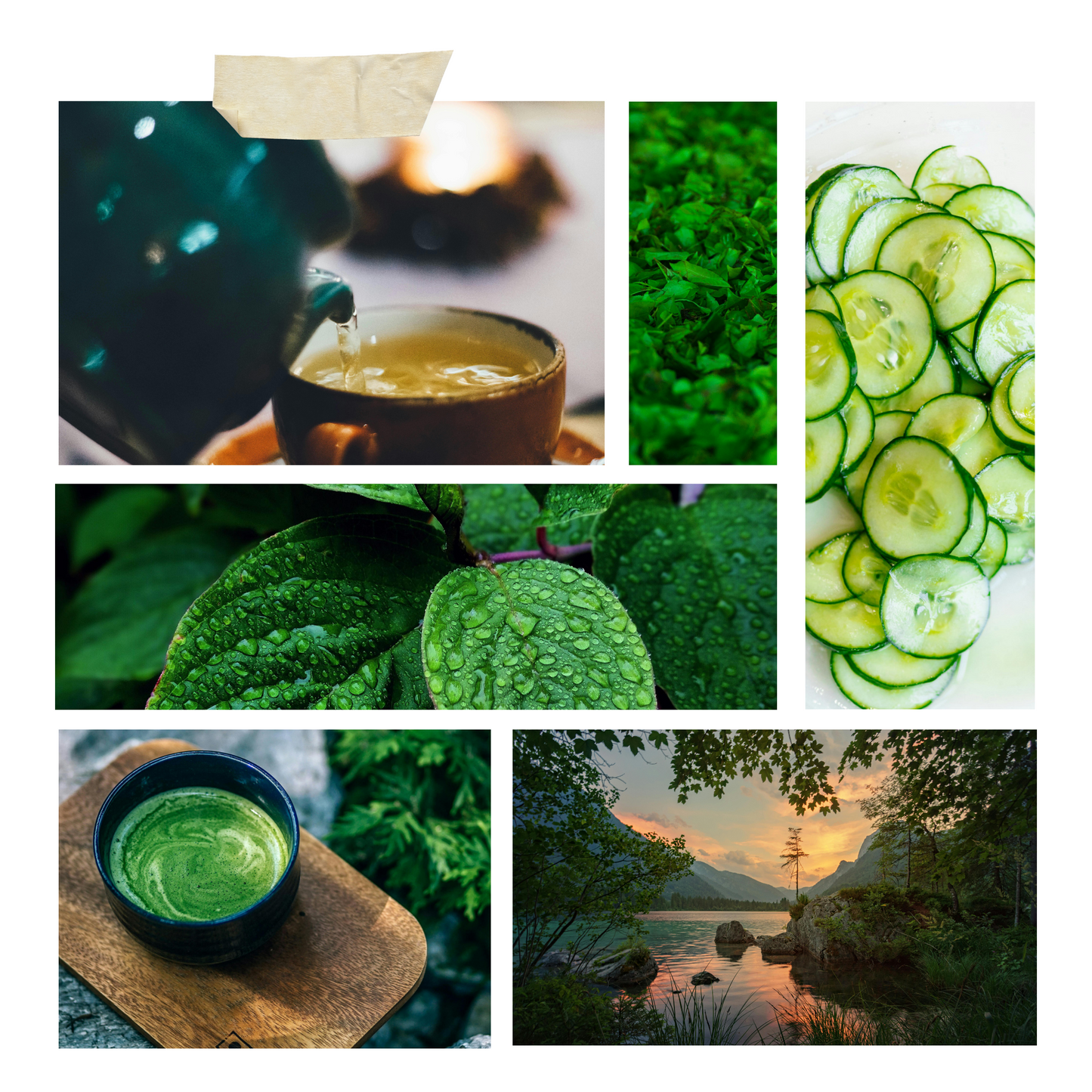 Green Tea & Cucumber Wax Melts