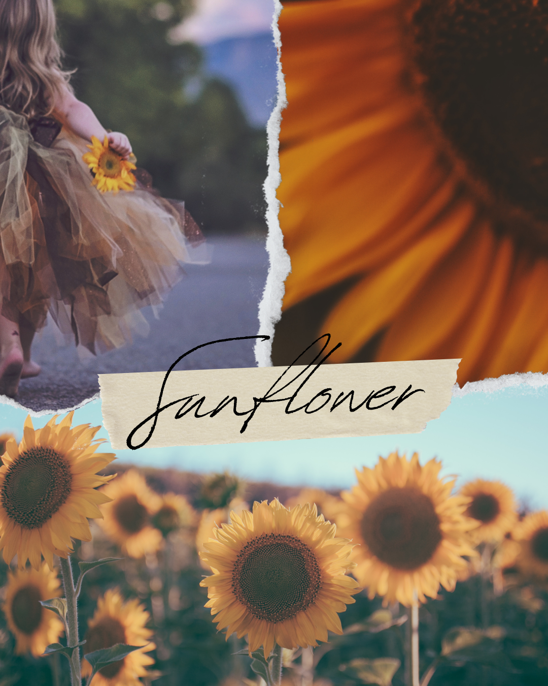 Sunflower Wax Melts