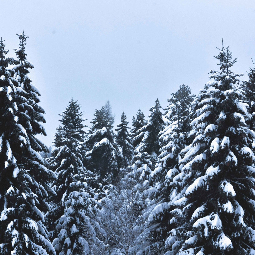 Winter Candles, Candle Scents Winter