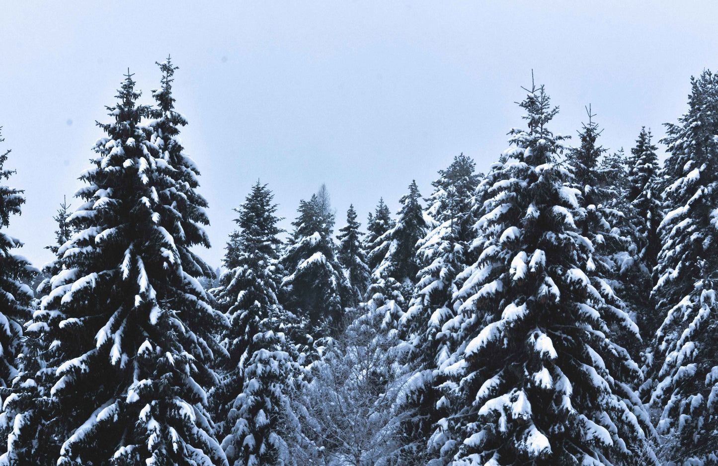 Winter Candles, Candle Scents Winter