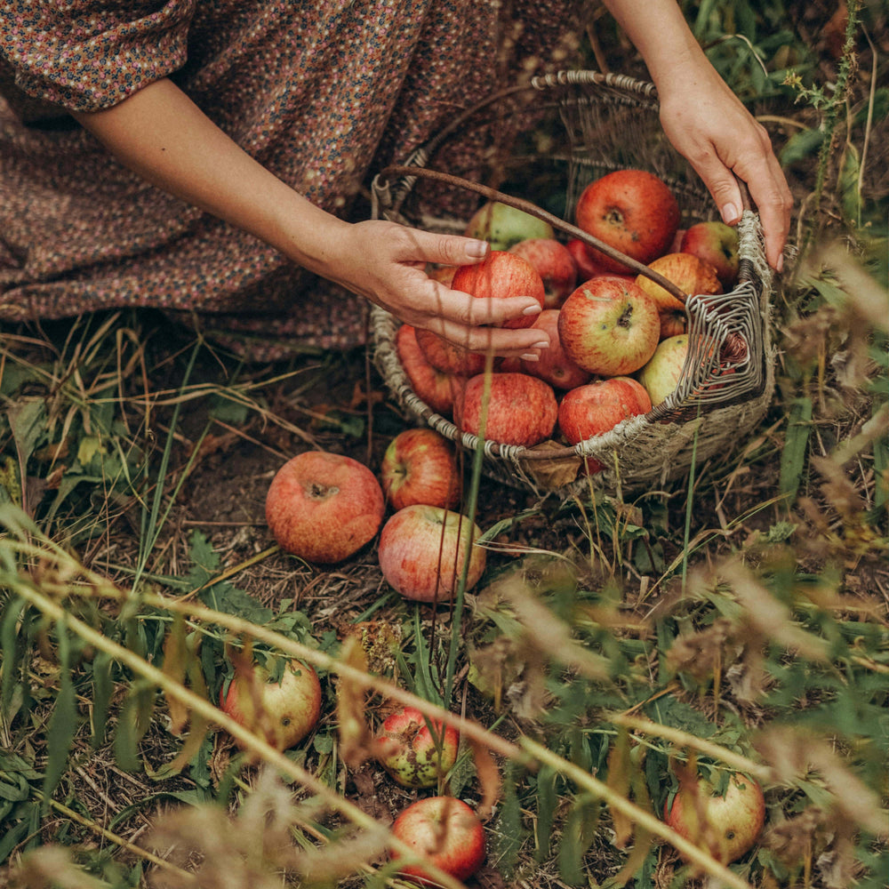 Comforting Fresh Fall Luxury Scented Candle