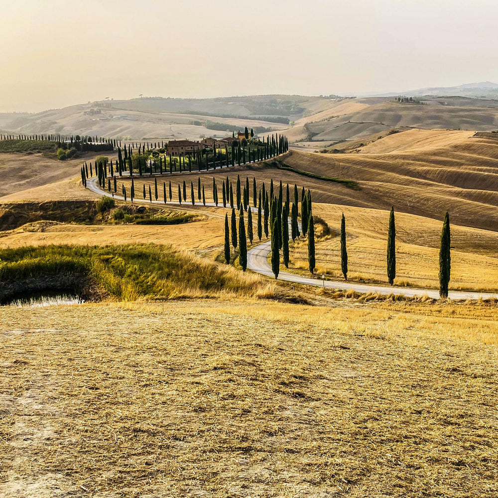 Tuscan Breeze Scented Candle Inspired by Tuscany breeze hills