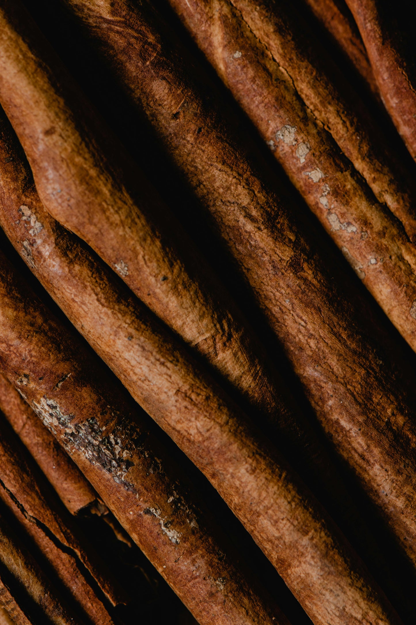 Cinnamon Spice notes in a Warm Apple Pie Scented Candle