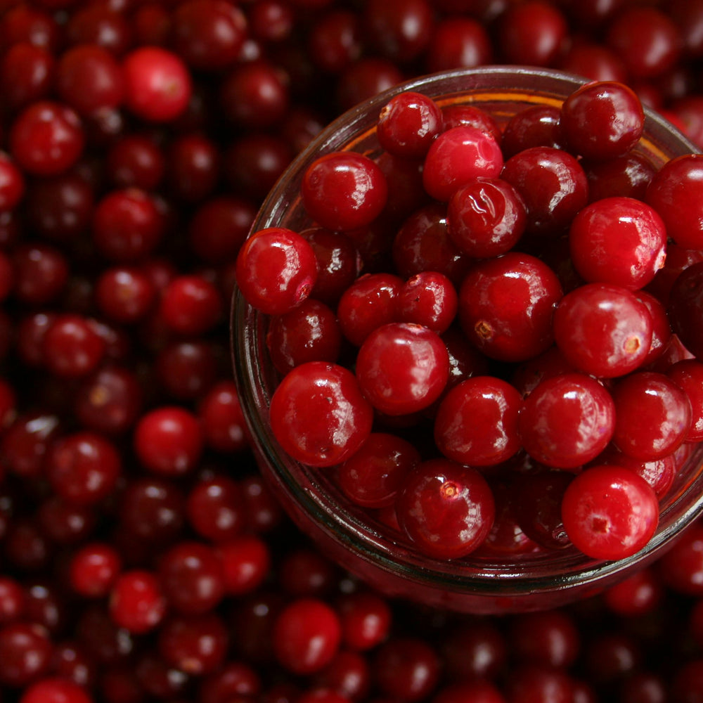 Scented Candle Smells like Cranberry Marmalade for Fall and Winter