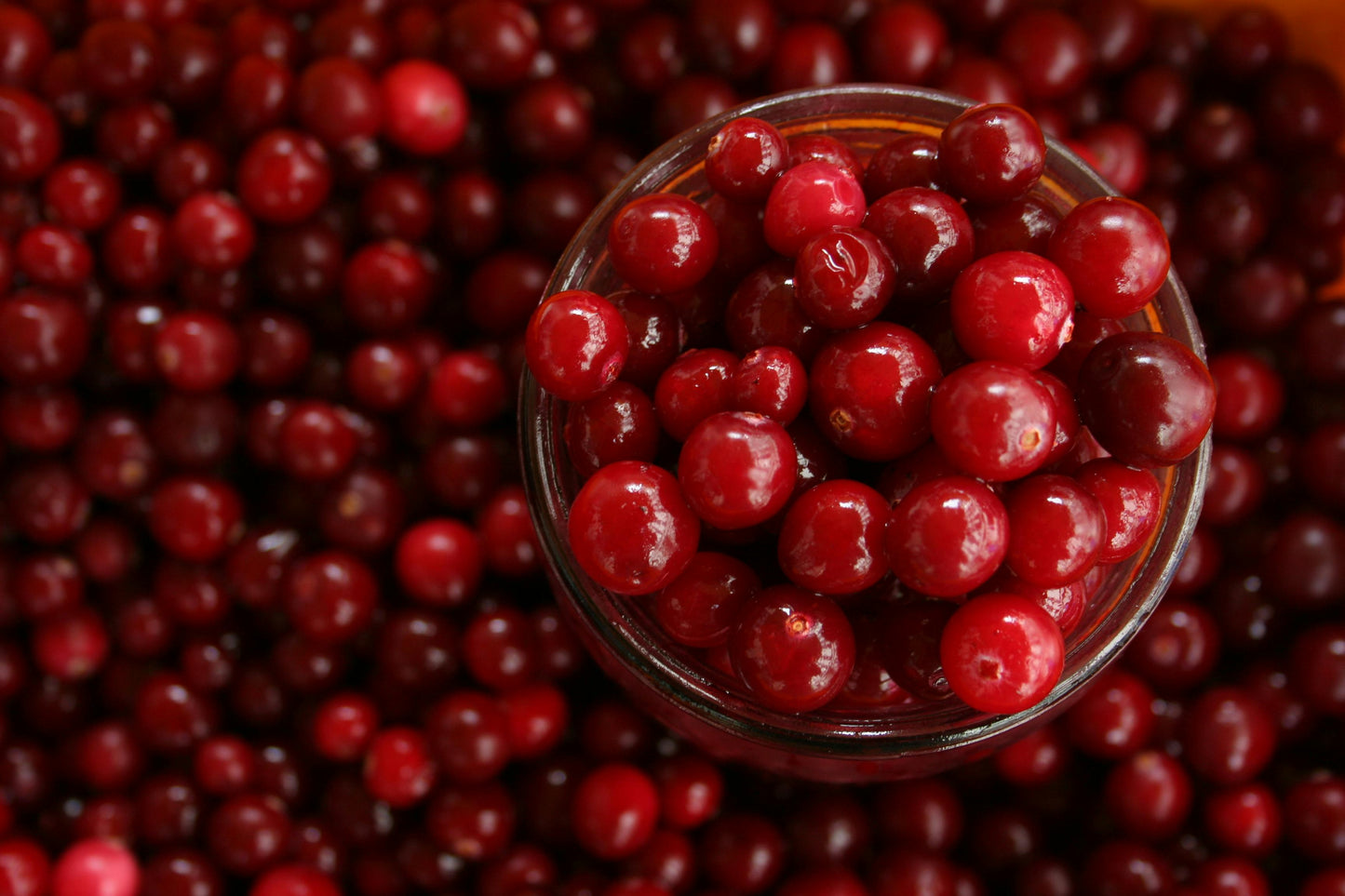 Scented Candle Smells like Cranberry Marmalade for Fall and Winter