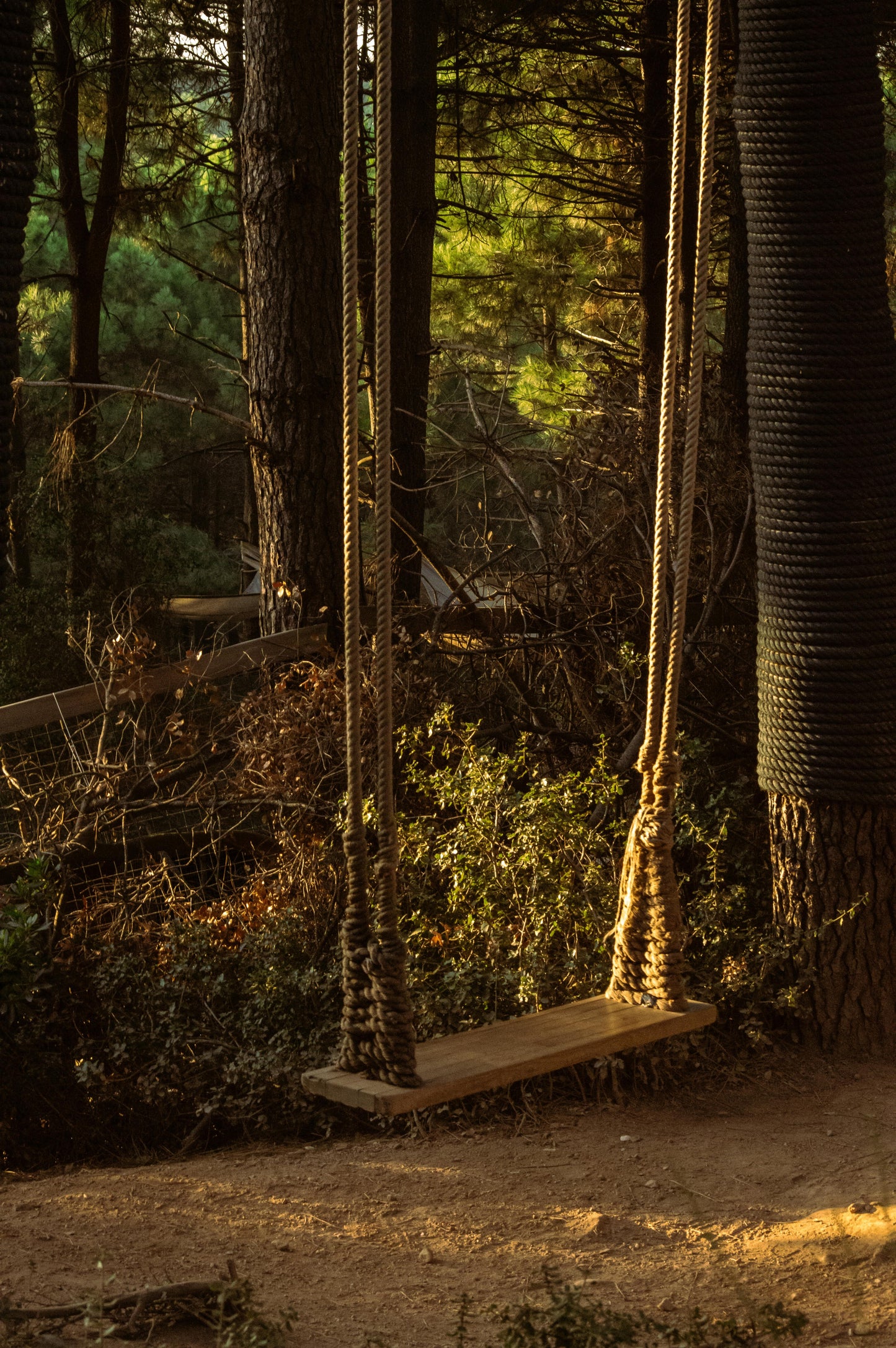 Mahogany Teakwood–inspired wax melt with rich woodsy and cologne-style notes