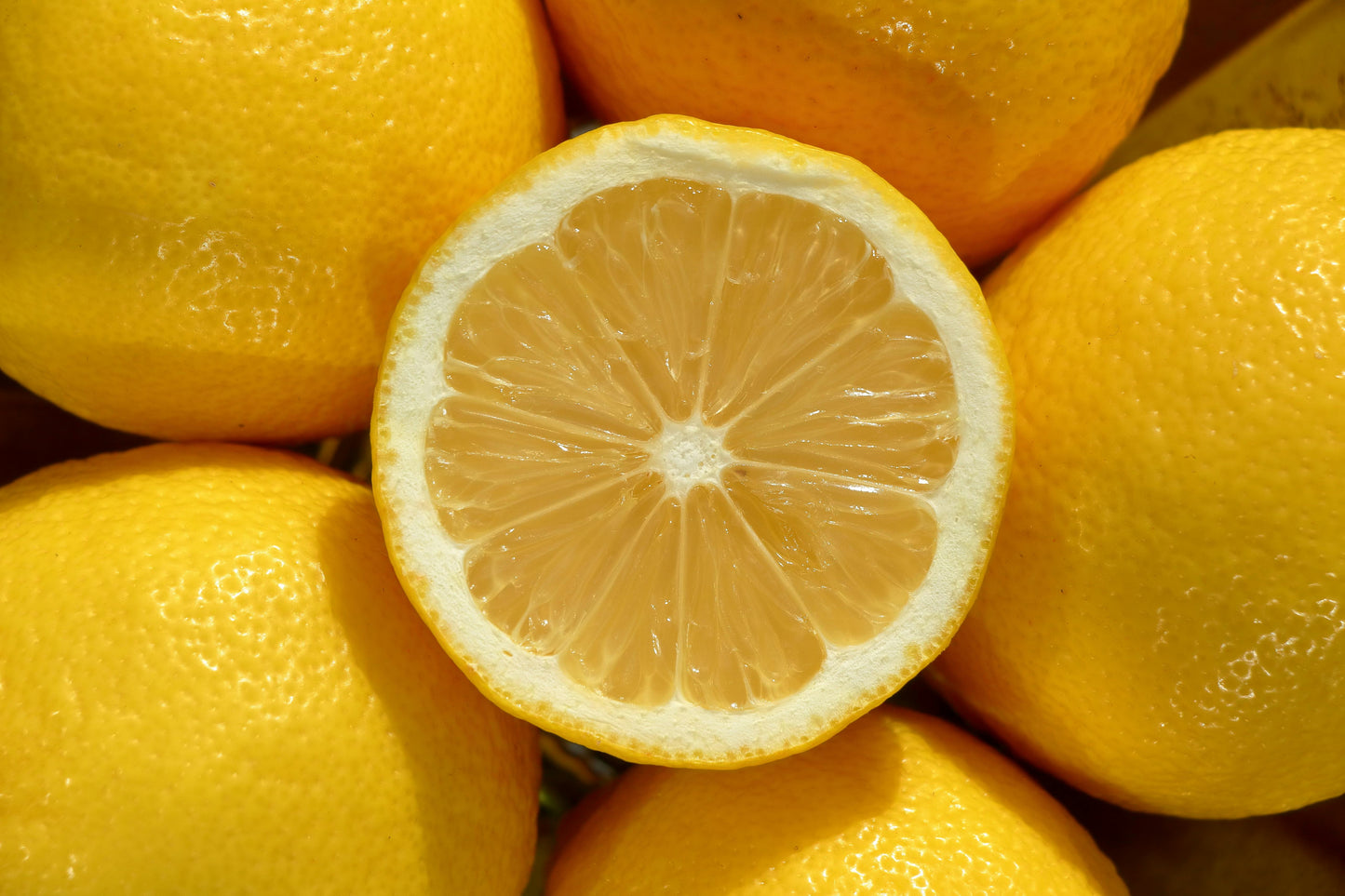 Lemon Currant Wax Melts