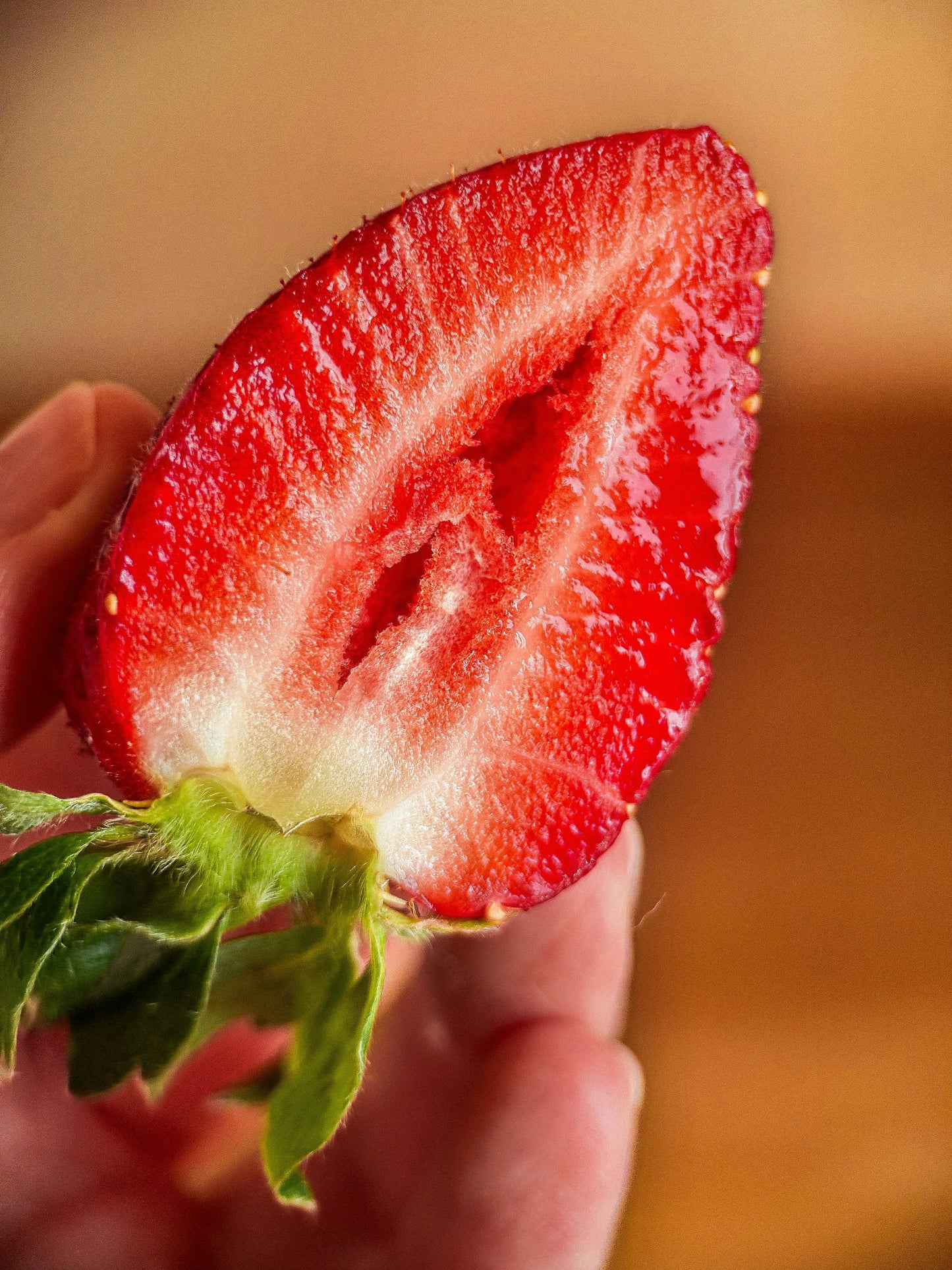 strawberries and creme wax melt