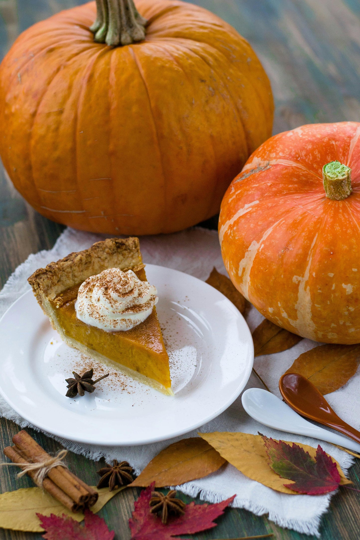 Luxury Scented Candle for Home Smells Like Apple Pumpkin Spice