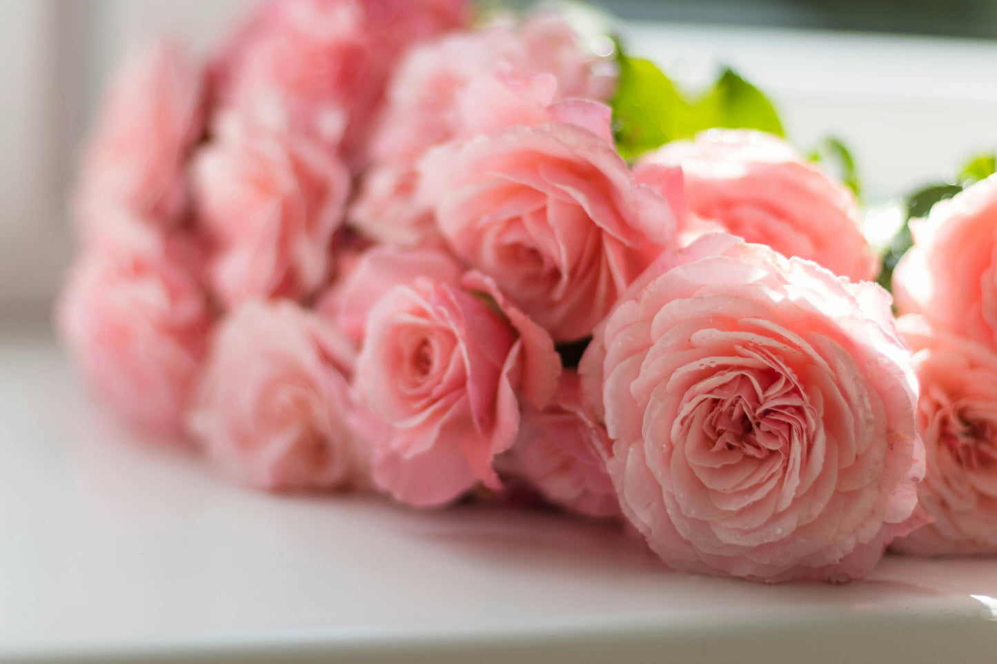 Black pepper rose wax melts for home fragrance